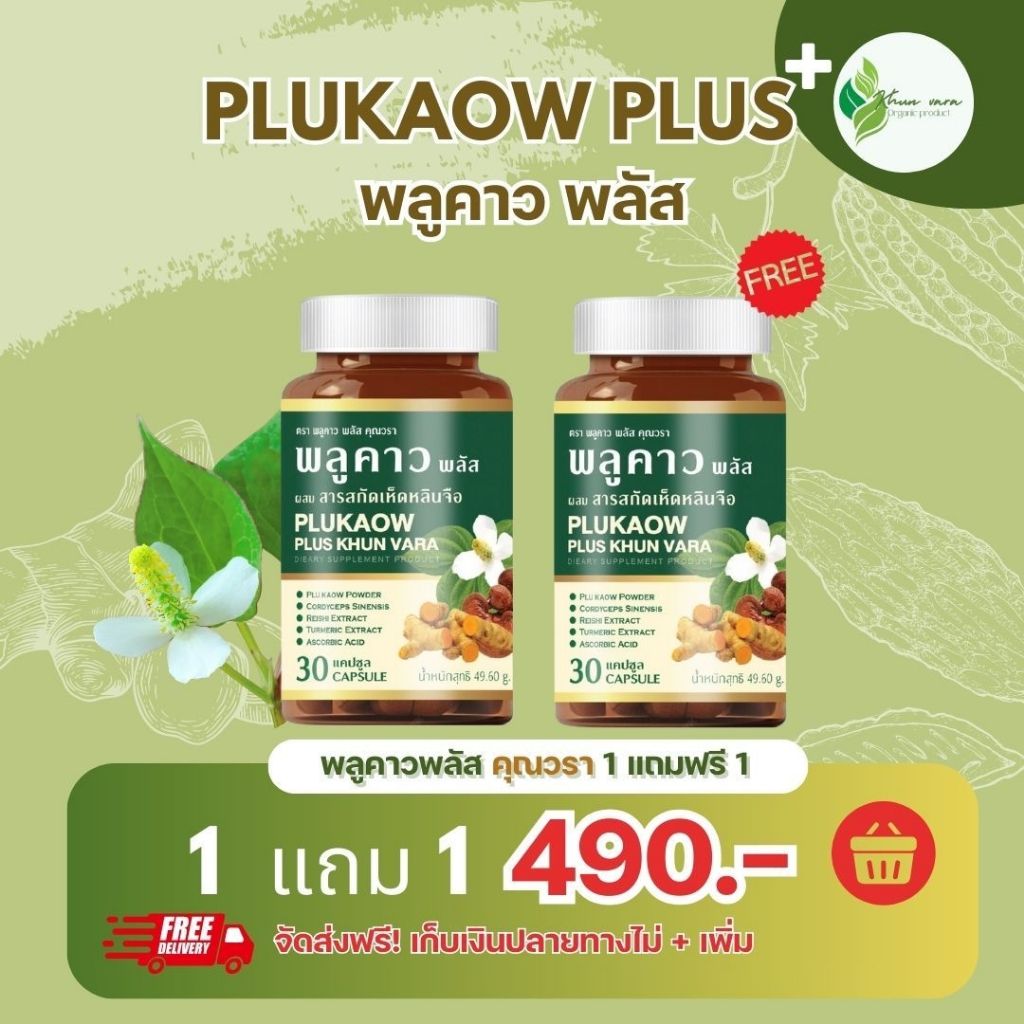 ส่งฟรี [1 แถม 1] Plukaow Plus พลูคาว 🌿 สมุนไพรแท้100% ลดคัน เสริมภูมิ ต้านเชื้อ