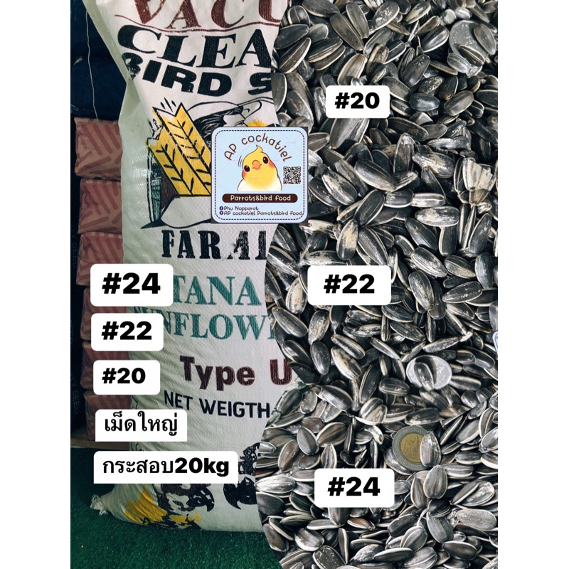 ทานตะวันAป้อม#24 #22 #20 #16 ไซร์ใหญ่ คัดเกรด กระสอบ20kg
