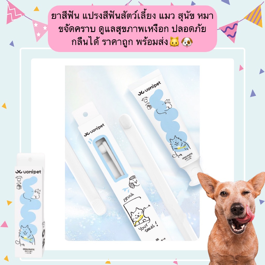 AL-1216 ยาสีฟัน แปรงสีฟันสัตว์เลี้ยง แมว สุนัข หมา ขจัดคราบ ดูแลสุขภาพเหงือก ปลอดภัย กลืนได้ ราคาถูก พร้อมส่ง🐱🐶