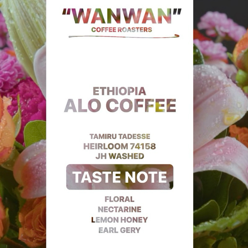 WANWAN - SINGLE ORIGINS (ALO COFFEE)