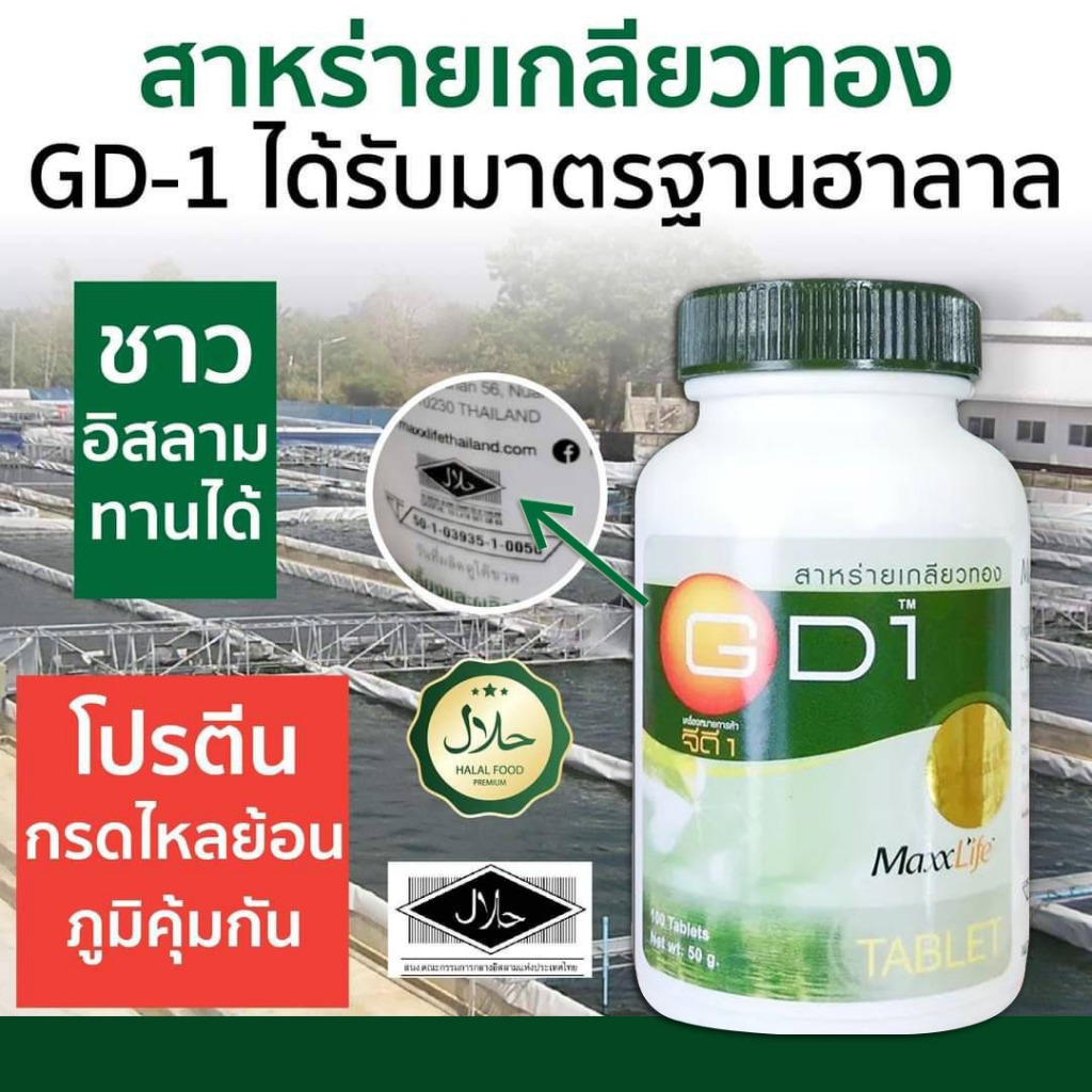 MaxxLife GD1 สาหร่ายเกลียวทอง หรือ สาหร่ายสไปรูลีน่า/ขนาดบรรจุ 60เม็ด (ล็อตใหม่ วันหมดอายุ24/8/2027)