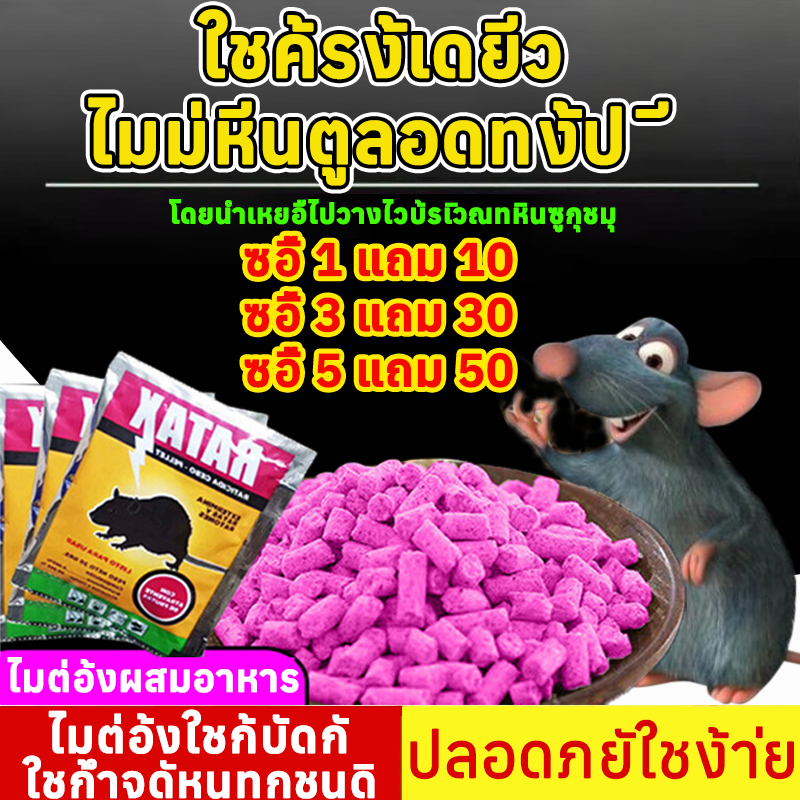 เหยื่อกำจัดหนู สูตรใหม่ ตายชัวร์ หาซากง่าย ฆ่าหนู ไม่ต้องผสมอาหาร ตายแห้ง ไม่เหม็น เบื่อหนูแห้ง