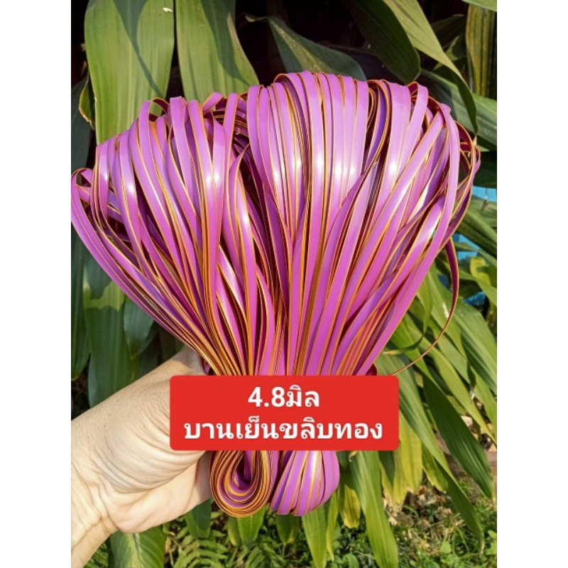 หวายสานตะกร้า สีขาว  4.8มิล ขนาด 500g (ครึ่งกิโลกรัม) เส้นยาว สีสันสวยงาม - รูปที่ 2