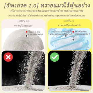 ทรายแมว ครอกแมวเบนโทไนท์ มี 6 กลิ่นให้เลือก พลังฆ่ากลิ่นที่เหนือกว่า การดูดซับที่แข็งแกร่ง 6L/2KG