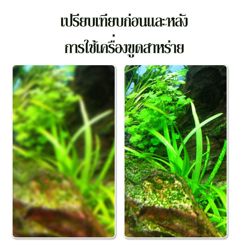 coralcoveshop ที่ขูดสาหร่ายตู้ปลา สารกำจัดสาหร่าย เครื่องมือทําความสะอาดตู้ปลา กําจัดสาหร่าย อุปกรณ์เสริมตู้ปลา - รูปที่ 5