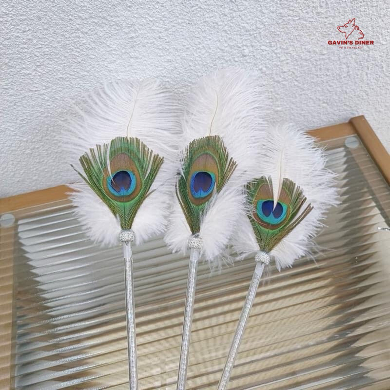 [✅พร้อมส่ง!] ไม้ตกแมวขนนกยูง สวยๆคลีนๆ ชีวิตติดแกลมต้องมี ไม้ตกลูกคุณ