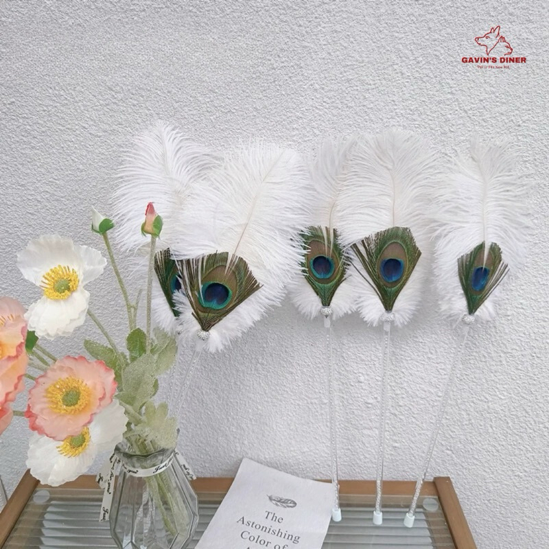 [✅พร้อมส่ง!] ไม้ตกแมวขนนกยูง สวยๆคลีนๆ ชีวิตติดแกลมต้องมี ไม้ตกลูกคุณ