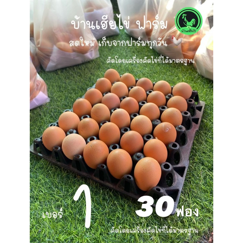 ไข่ไก่ เบอร์ 1 (30)ฟอง สดใหม่จากฟาร์มวันต่อวัน