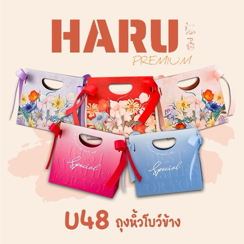 U48 ถุงของขวัญ ของชำร่วย ถุงหูหิ้วโบว์ข้าง