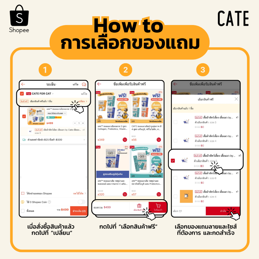 รูปภาพ 8