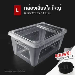 กล่องพลาสติกใส่สัตว์เลี้ยง ฝาล็อคแน่น รูระบายอากาศรอบกล่อง ใส่สัตว์เลี้ยงขนาดเล็ก สัตว์เลื้อยคลาน