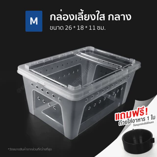 กล่องพลาสติกใส่สัตว์เลี้ยง ฝาล็อคแน่น รูระบายอากาศรอบกล่อง ใส่สัตว์เลี้ยงขนาดเล็ก สัตว์เลื้อยคลาน
