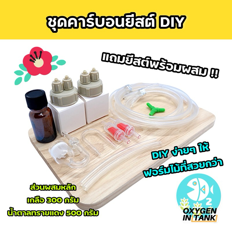 ชุดคาร์บอนยีสต์ DIY ผลิตคาร์บอนไดออกไซด์ (CO2) ช่วยให้พรรณไม้น้ำเติบโตสมบูรณ์ สีสันสวยสุดฟอร์ม