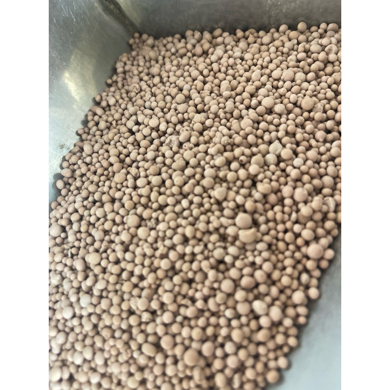 15-15-15 กระต่าย โลละ40.-