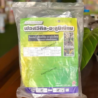 ฟอสอีทิล 80% ตราซิกซ์ตี้ซิกซ์ โรครากเน่าโคนเน่า ผลเน่า โรคไฟท็อปธอร่า โรคราน้ำค้าง โรคราแป้ง
