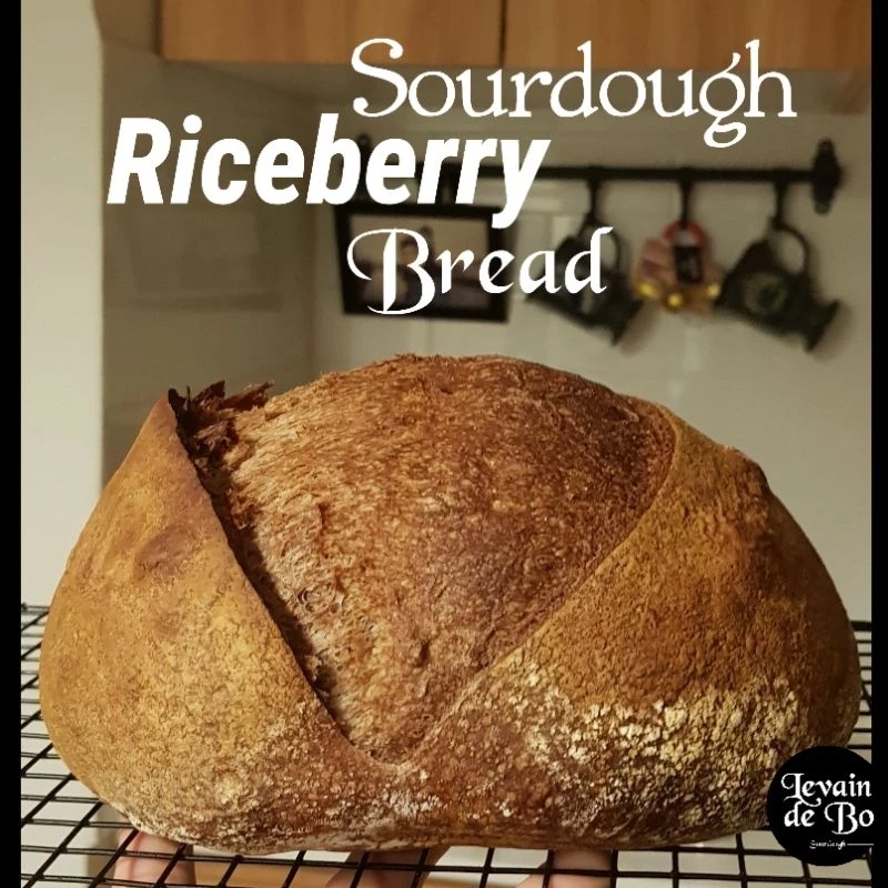 Riceberry Sourdough (ขนมปังซาวโดว์ผสมข้าวไรซ์เบอร์รี่จากยีสต์ธรรมชาติ)