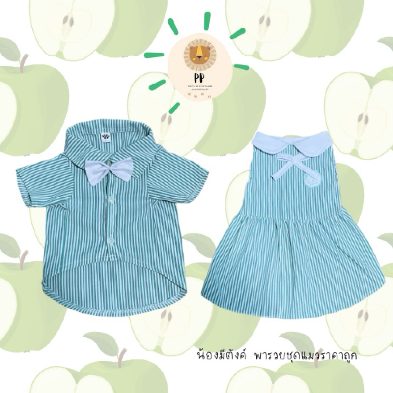 ชุดคู่สำหรับสัตว์เลี้ยง ชุดเสื้อเชิ้ตและชุดเดรสกระโปรง  สีส้มและสีเขียว ผ้านิ่มมาก 🍏🍊 รหัสสินค้า B99/B101 ~ G100/G102
