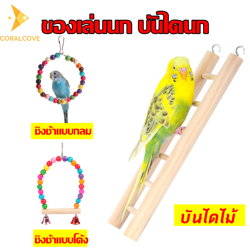 coralcoveshop ของเล่นนกแก้ว ของเล่นนก บันไดนก สวิงนก ชิงช้านก ของเล่นตกแต่งกรงนก