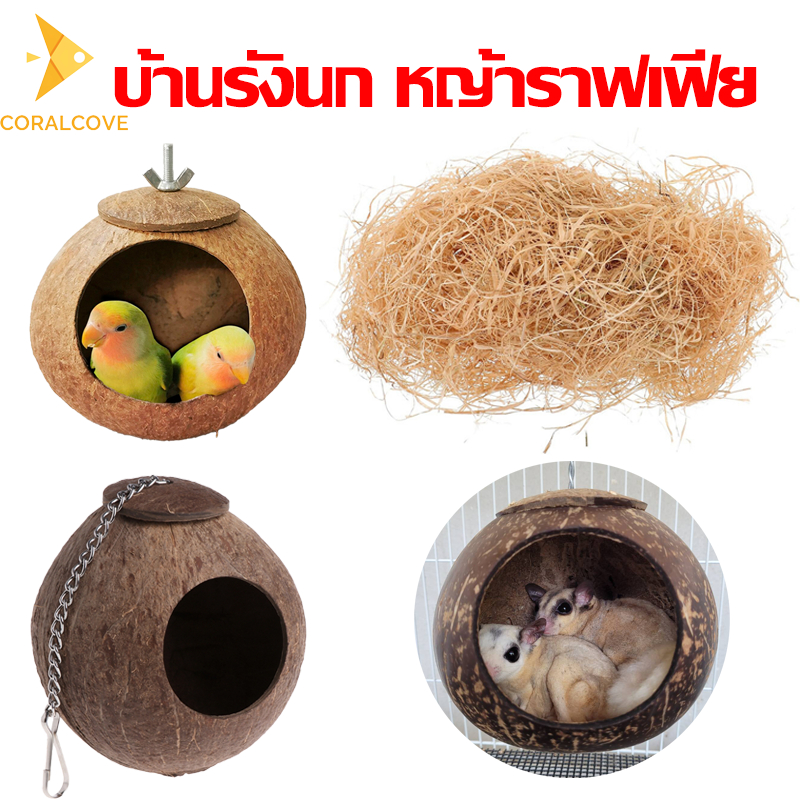 coralcoveshop บ้านนกแก้ว บ้านนกมะพร้าวธรรมชาติ หญ้าราฟเฟีย 30 กรัม เหมาะสำหรับนกและสัตว์เลี้ยงขนาดเล็ก