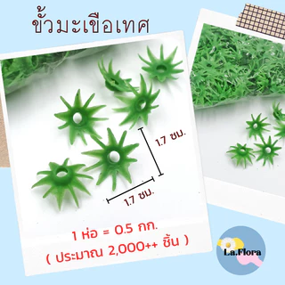 ขั้วดอกไม้พลาสติก แพ็ค100ชิ้น ก้นดอกไม้ ขั้วชบา ขั้วมะเขือเทศ ขั้วสตอเบอรี่ ขั้วกุหลาบ ขั้วมะเขือ ก้นกุหลาบ พับเหรียญ
