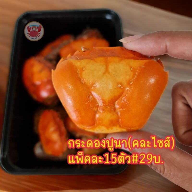 กระดองปูนา พร็อพเสริมของปูอ่องอุ้ยหม่อน ขัดล้างสะอาด,ต้มสุกและตากแดดOptionเกร๋ๆพร้อมใช้ แพ็คละ15ตัวคละไซส์29บ.เท่านั้น
