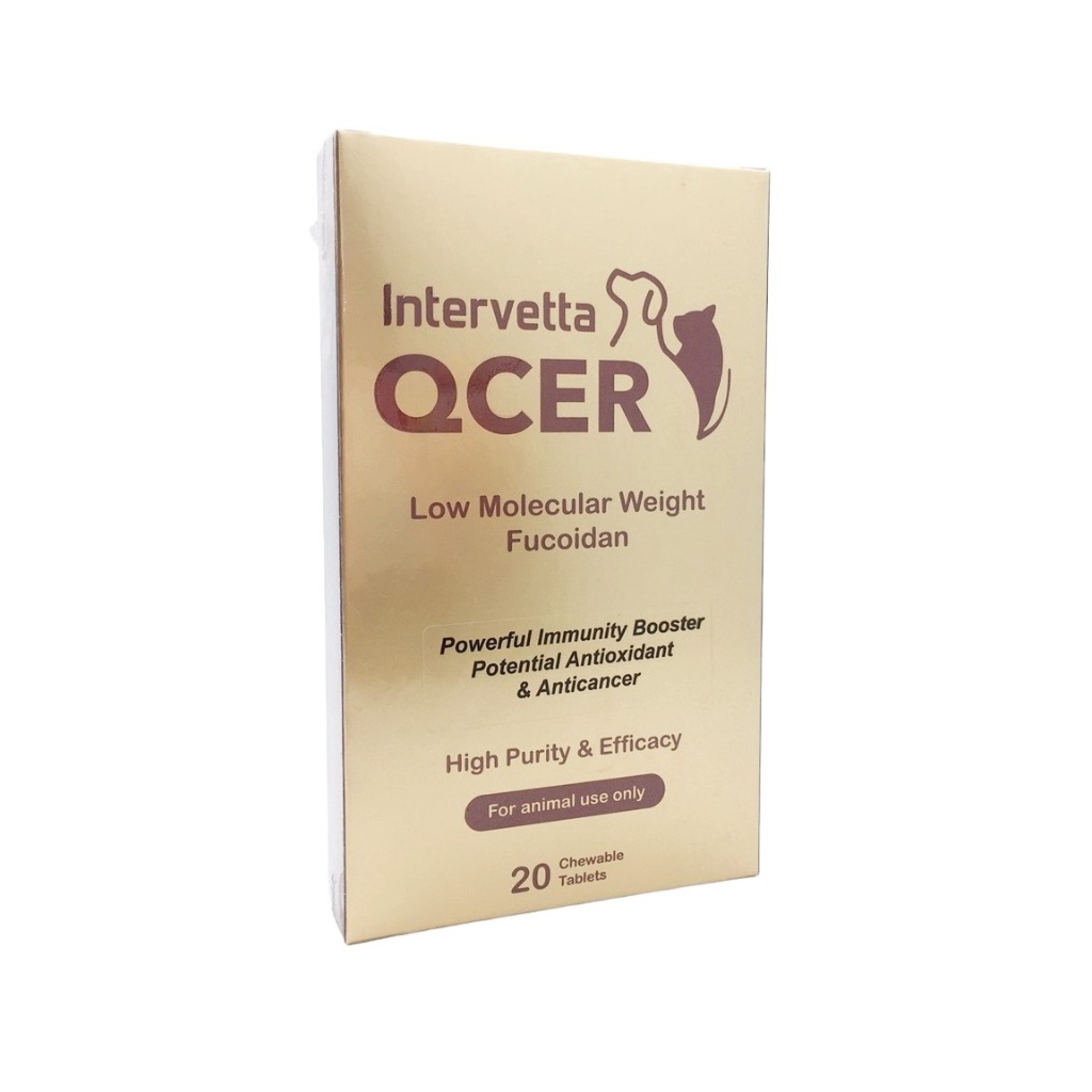 QCER อาหารเสริม [Exp.05/2026] สุนัข-แมว มะเร็ง เนื้องอก ก้อนเนื้อผิดปกติ 20 เม็ด คิวเซอร์