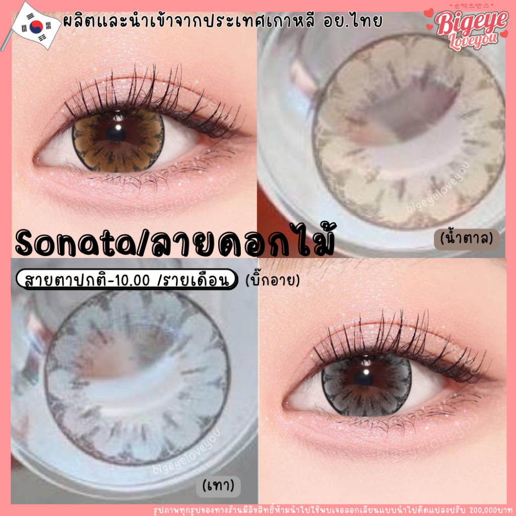 คอนแทคเลนส์ ลายดอกไม้สุดฮิต Sonata Brown / Gray (Kissylens) ขนาดบิ๊กอาย