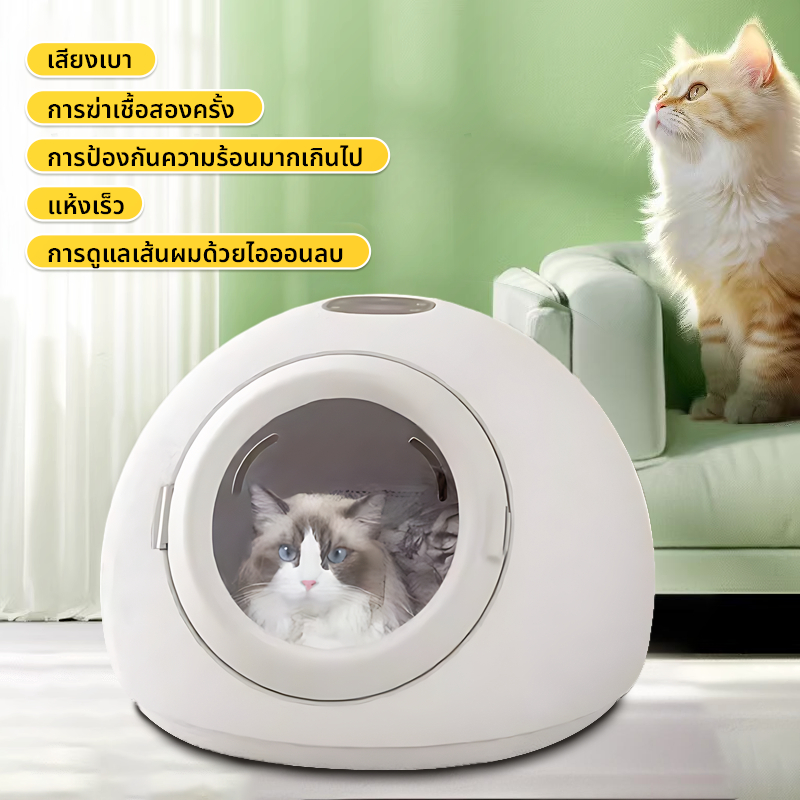 เครื่องเป่าขนแมวอัตโนมัติ สำหรับสัตว์เลี้ยง กำลัง800W เครื่องทำงานเสียงเบาเครื่องเป่าลมไดร์เปาขนแมว