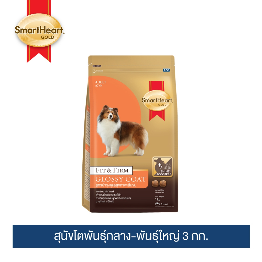 สมาร์ทฮาร์ทโกลด์ ฟิตแอนด์เฟิร์ม กลอสซี่ โค้ท อาหารสุนัขโตพันธุ์กลาง-ใหญ่ 3 กก.