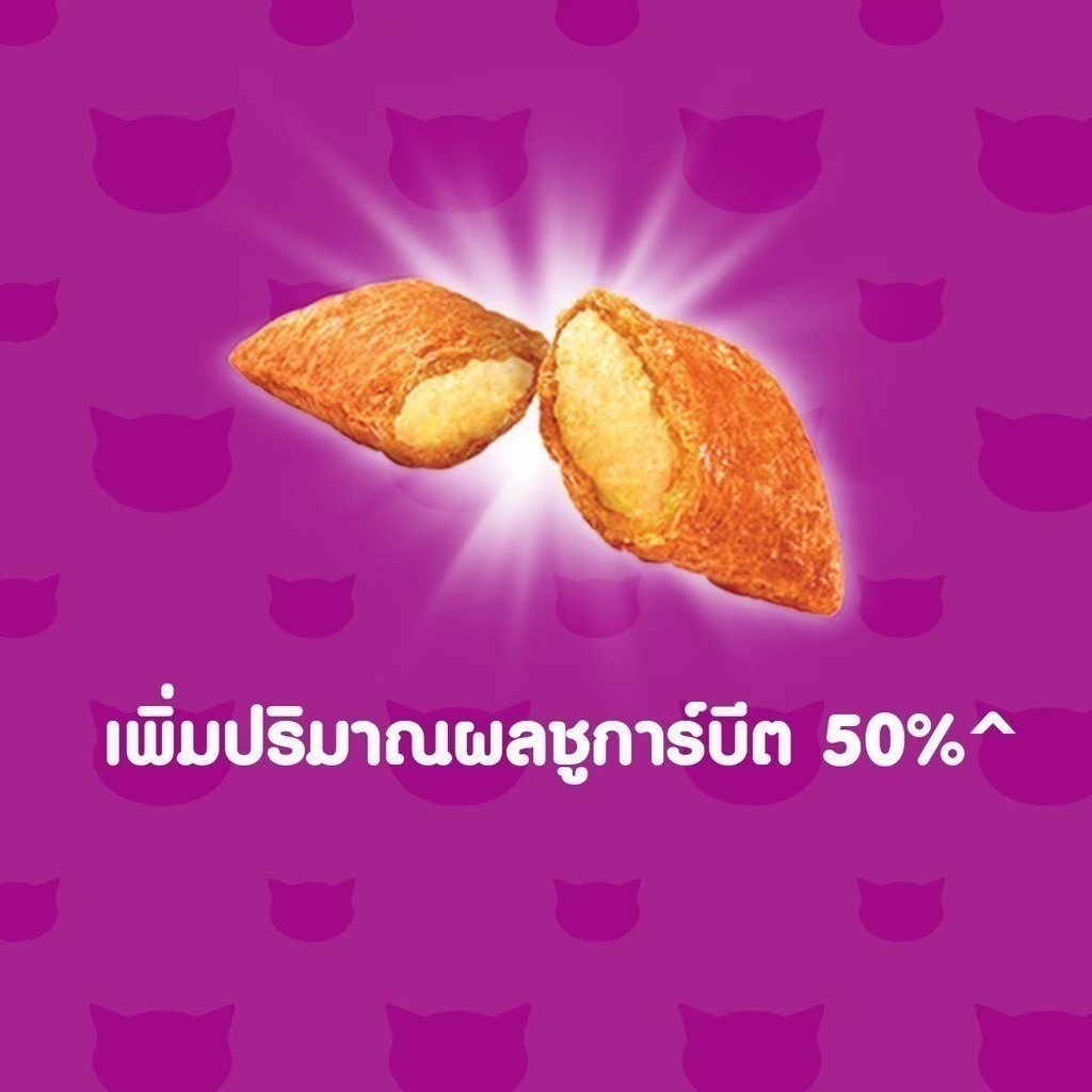 Whiskas Skin and Coat 1.1 kg อาหารเม็ดแมวโต 1+ ปี เพื่อสุขภาพขนและผิวหนังที่ดี รสไก่และปลาแซลมอน - รูปที่ 3