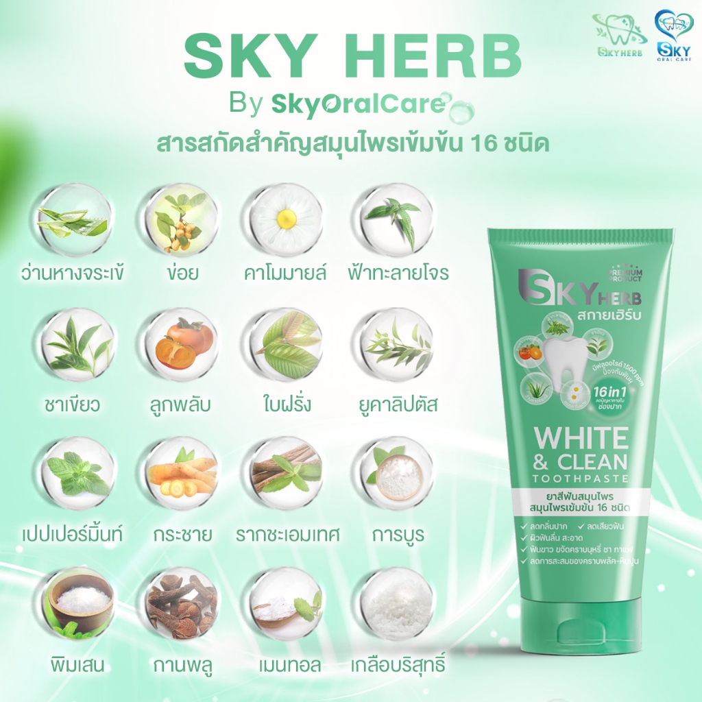 ยาสีฟันสมุนไพร สกายเฮิร์บ ไวท์แอนด์คลีน ทูธเพสท์ Sky Herb รูปที่ 8
