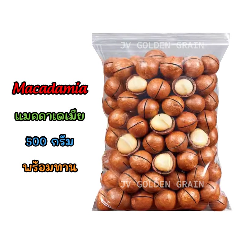 Macadamia / แมคคาเดเมีย 500 กรัม พร้อมทาน