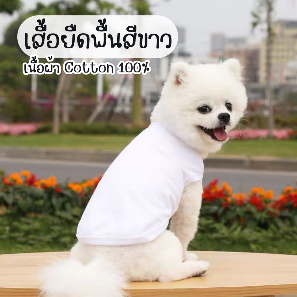 พร้อมส่ง เนื้อผ้า cotton เสื้อผ้าสุนัข สีพื้น ผ้ายืด ใส่สบาย เอาไปสกรีนลายได้