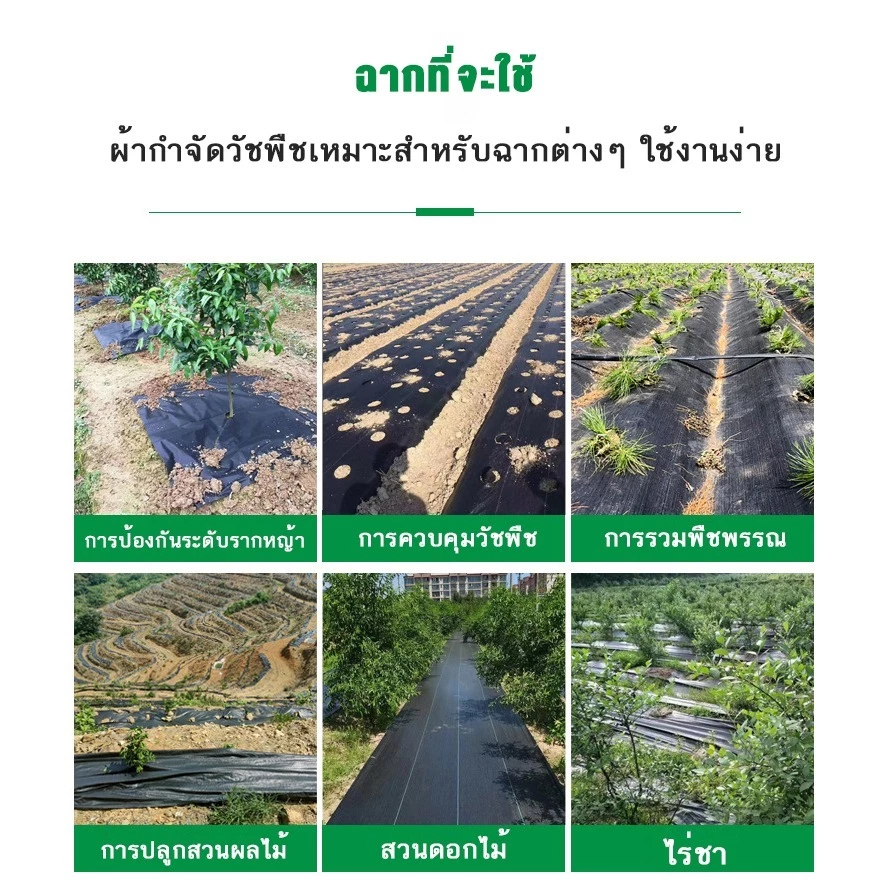 พลาสติกคลุมวัชพืช ผ้าคลุมหญ้า thumbnail 3