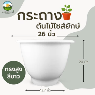 กระถาง 26 นิ้ว กระถางไซส์ยักษ์ อ่างบัว หนาพิเศษ ทรงสูง