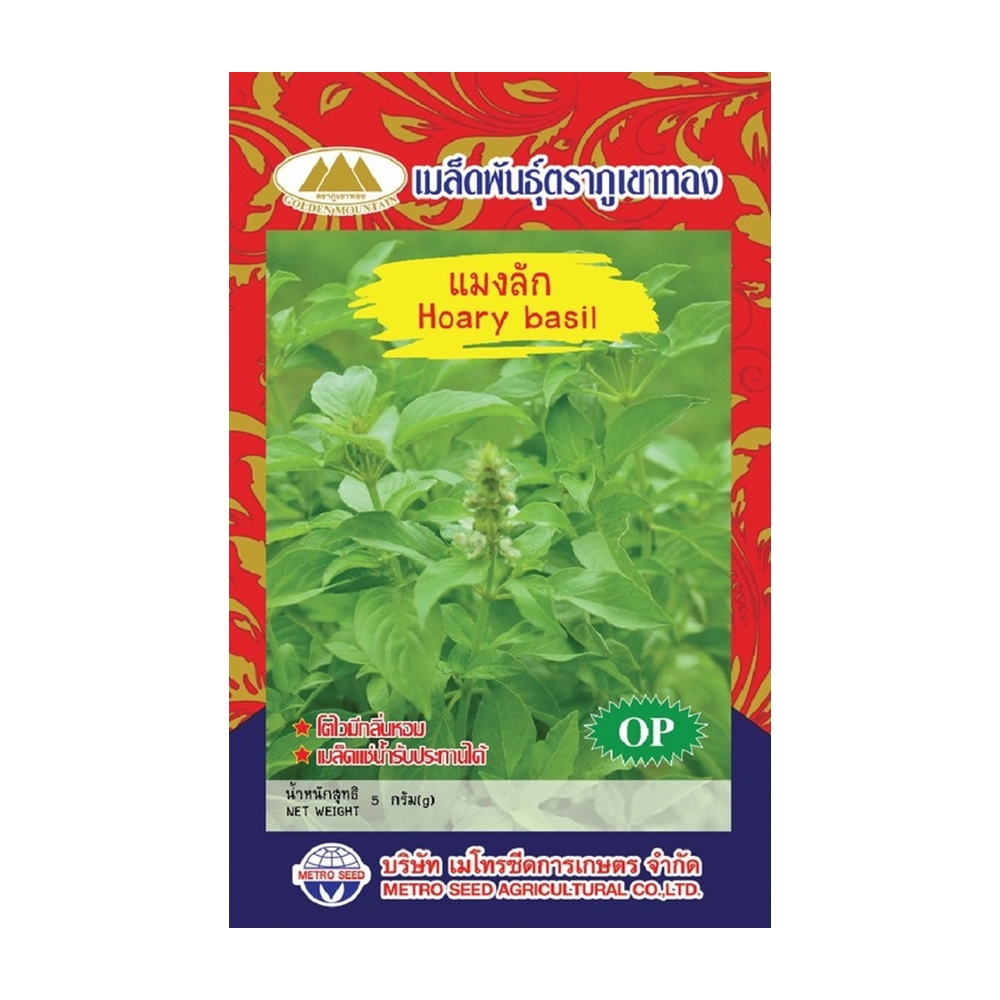 เมล็ดแมงลัก Hoary basil ตราภูเขาทอง เมล็ดพันธุ์แมงลัก เมล็ดพันธุ์ผัก แมงลัก เมล็ดผักสวนครัว