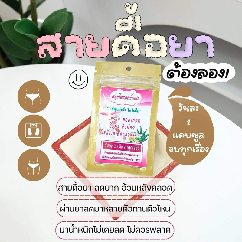 สมุนไพรลดน้ำหนัก ซีเครทสลิม