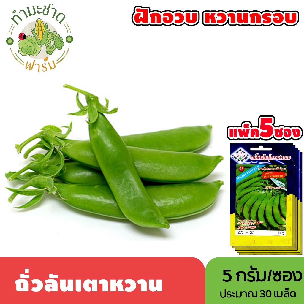 [แพ็ค 5 ซอง] 3A เมล็ดพันธุ์ ถั่วลันเตาหวาน ขนาดซองละ5กรัม ประมาณ30เมล็ด/ซอง SWEET PEAS ถั่วแขก ถั่วน้อย ถั่วลันเตา เมล็ด