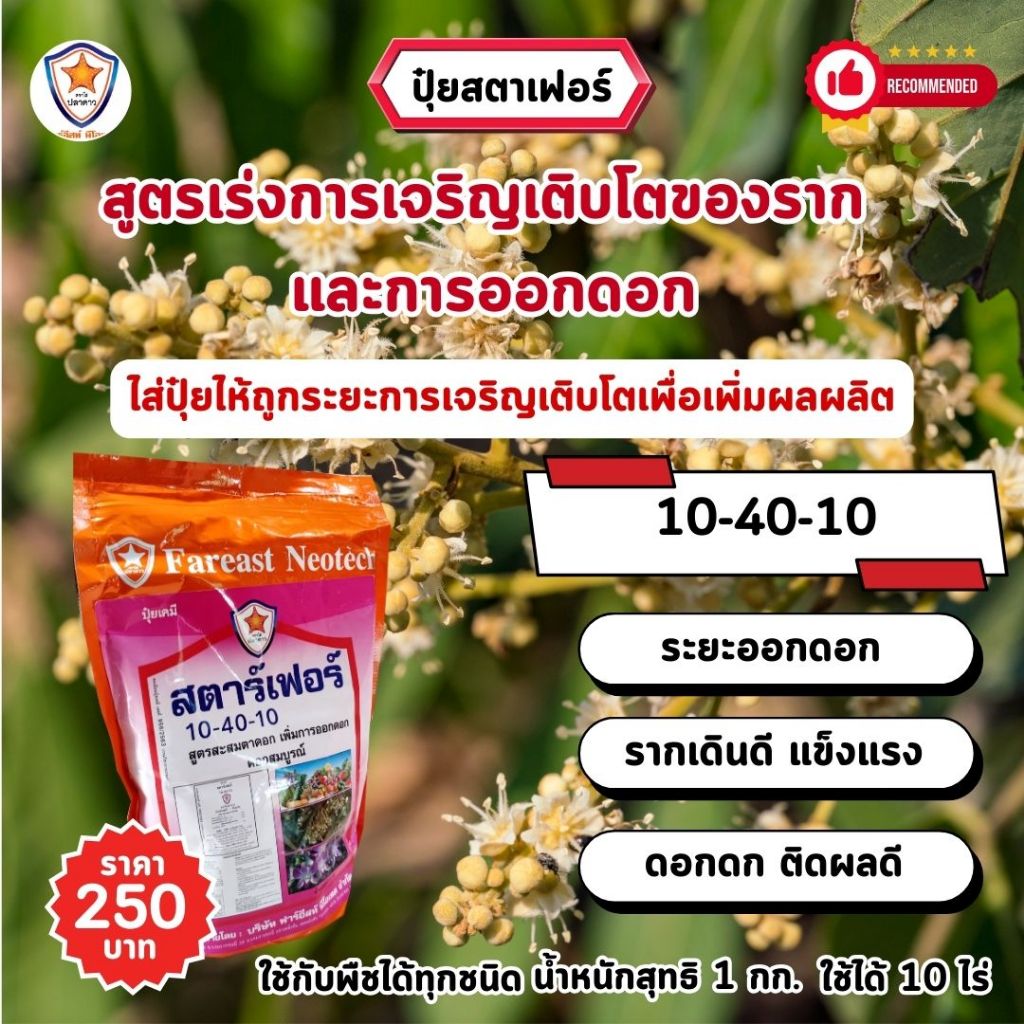 ปุ๋ยลำไย สตาร์เฟอร์ 3 สูตร ครบทุกความต้องการสำหรับต้นลำไย เร่งโต ใบเขียว เร่งราก เร่งดอก ผลใหญ่ ดกเต็มต้น ราคา ถูกที่สุด ดีลบีเคเค แกลเลอรีภาพที่ 3