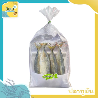ปลาทูมัน ไซส์เล็ก สินค้าใหม่ ของฝากจากบ้านเพระยอง