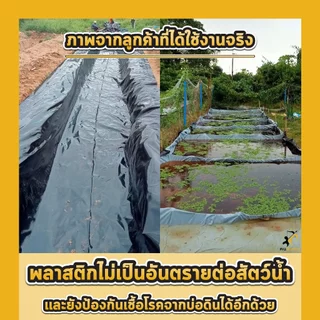 ผ้ายางปูบ่อ พลาสติกปูบ่อ หนา 200 250 ไมครอน เสริมป้องกันUV ปูบ่อปลา บ่อกบ