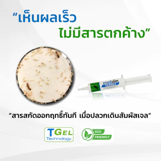 TERMEX เจลไล่ ควบคุมปลวก สารสกัดธรรมชาติ เห็นผลไว ไม่มีสารตกค้าง