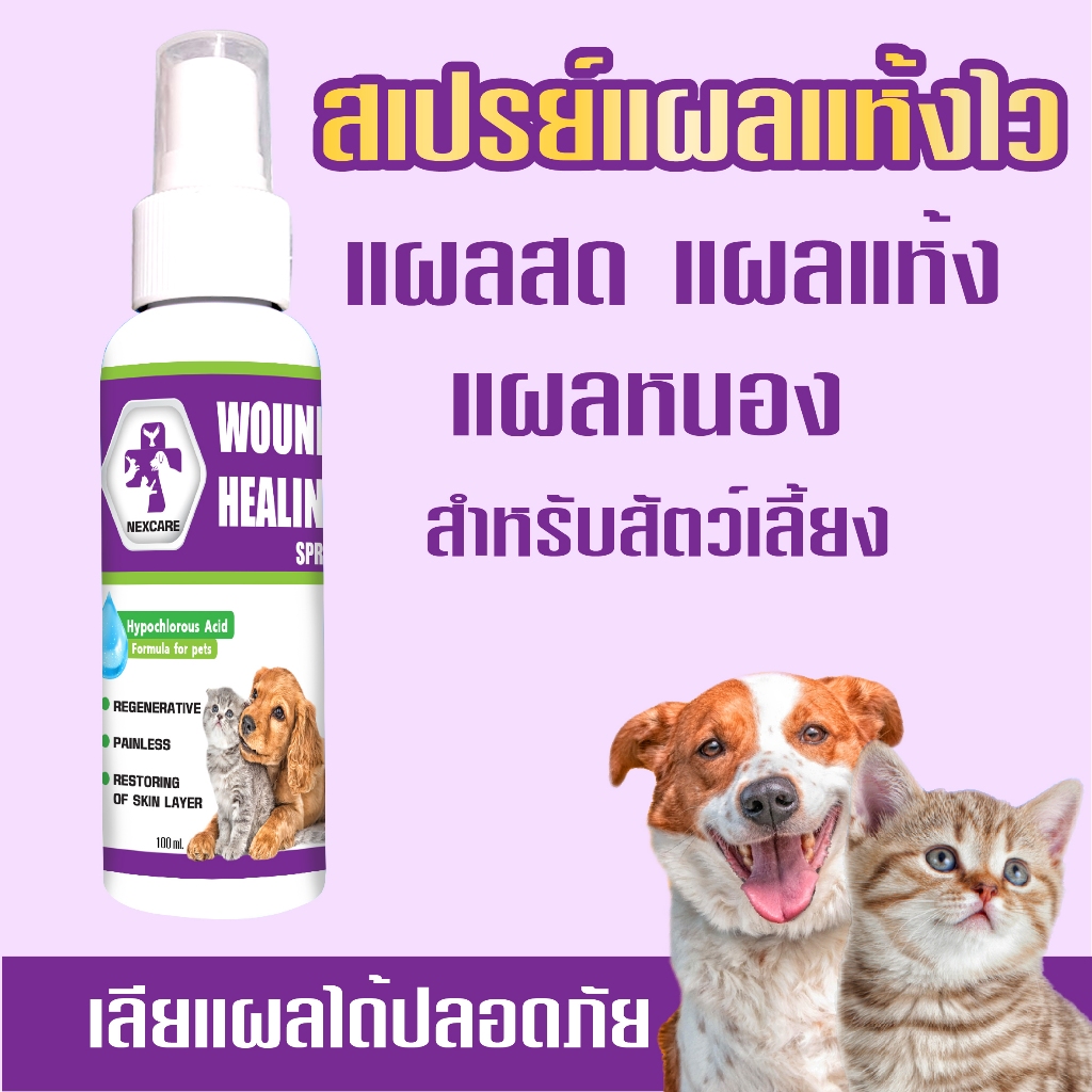 NexCare สเปรย์พ่นแผล สมานเร็ว แผลแห้งไว แผลสุนัข แผลแมว สเปรย์นาโน