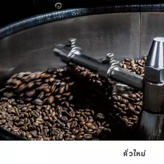 GRAPH | เมล็ดกาแฟ HOUSE BLEND - POLLOCK