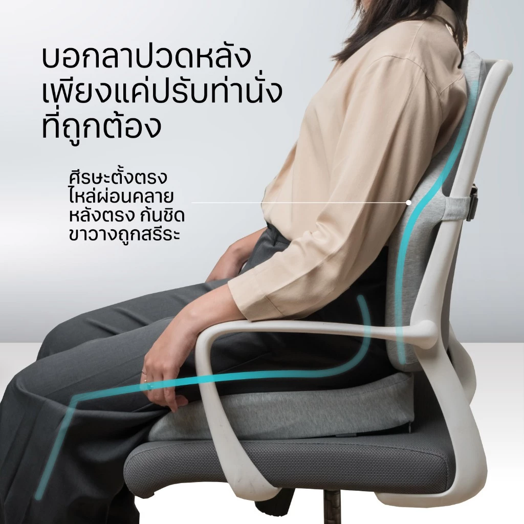 ประกัน 1 ปี LIV Rabbit Ergo Back Cushion เบาะรองหลัง หมอนรองหลัง หมอนพิงหลัง เพื่อสุขภาพ ใช้ได้ทั้งเก้าอี้และรถยนต์ thumbnail 5