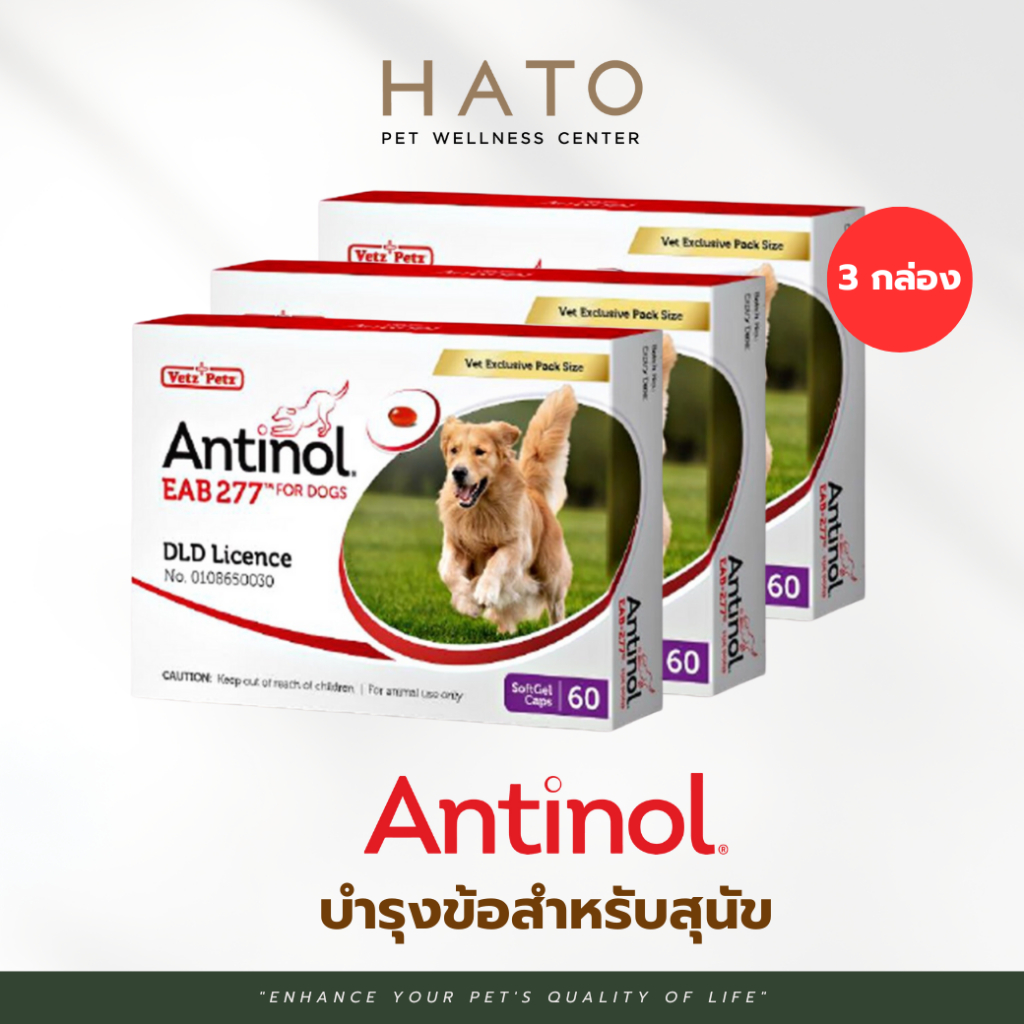 Antinol Dog แอนทินอล อาหารเสริมไขมัน บำรุงข้อ สำหรับสุนัข 3 กล่อง (180 เม็ด) Vetz Petz