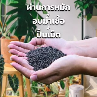 ปุ๋ยไซโตมูลค้างคาว สำหรับไม้ดอก ไม้ประดับ ผักสวนครัว บำรุงต้น บำรุงใบ ดอกสีสวยสด กระตุ้นการแตกราก