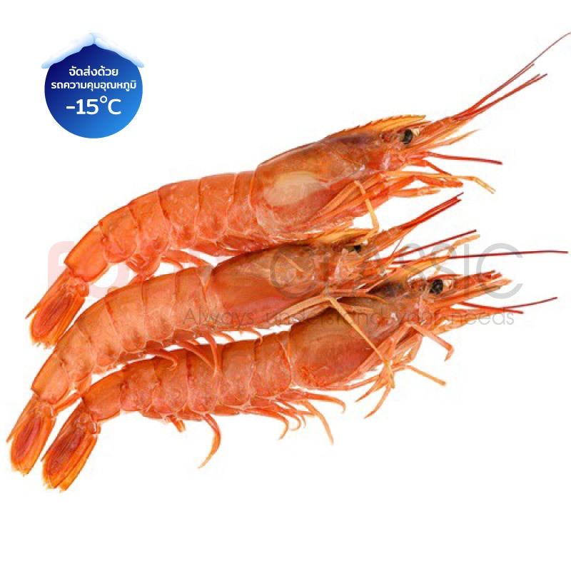 EB048 กุ้งอาร์เจนตินาติดหัว/Argentina Red Shrimp HOSO L2 (21-30 pcs/kg)