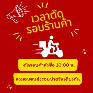 ถุงเท้าผู้ชาย ข้อสั้น No show รุ่น NS1 พร้อมส่งจากไทย