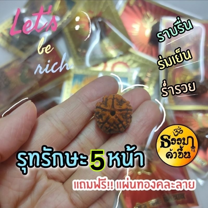 รุทรักษะ 5 หน้า (1เมล็ด) แถม แผ่นทองคละลาย 1 แผ่น ผ่านพิธีแล้วจากอินเดีย